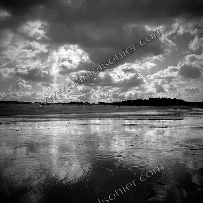 Création Noir&Blanc