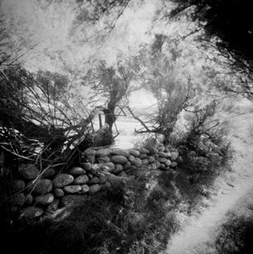 Création Noir&Blanc