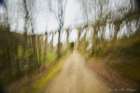 ICM Paysage