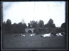 Plaques de verre 1910