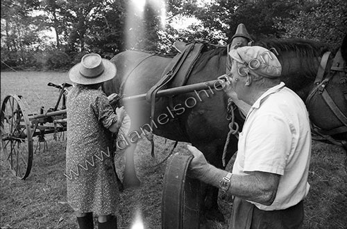 Reportage sur les foins