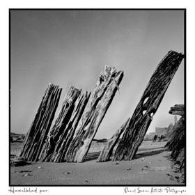 Création photographique noir et blanc argentique