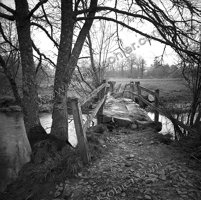 Création Noir&Blanc