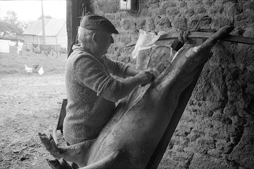 La journée du Cochon