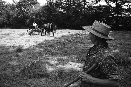 Reportage sur les foins