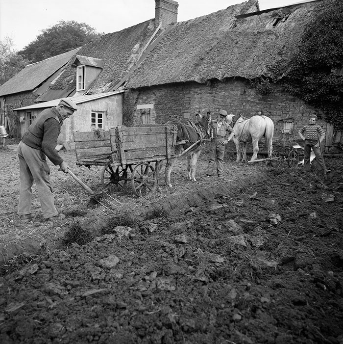 Le champ derrière la ferme