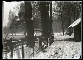 Plaques de verre 1910