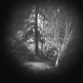 LE PARC - JARDIN FAVIER - Cherbourg en Cotentin - Manche - France 1986 - Hasselblad 6x6 argentique Photographie N° JF 16