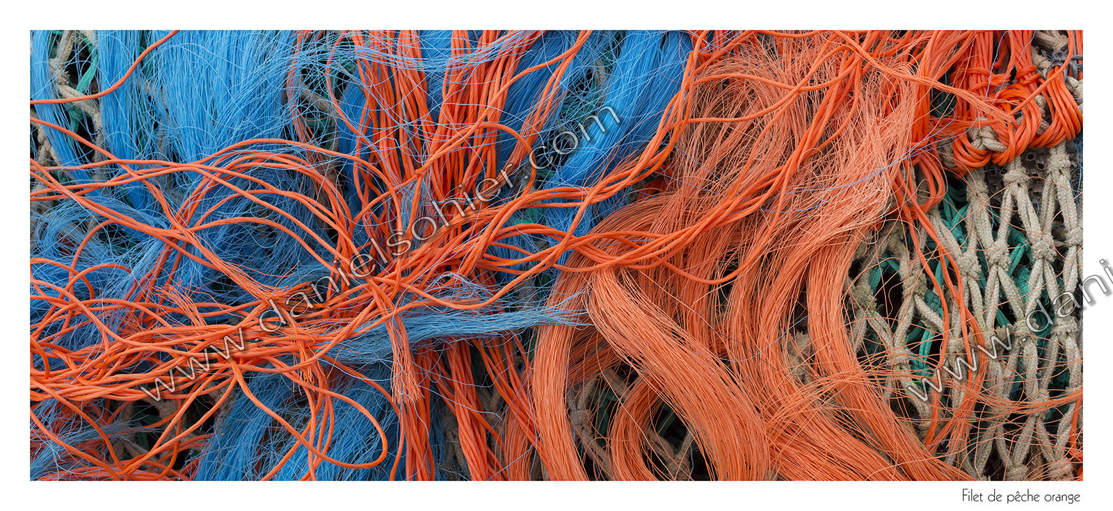 Graphisme Numérique