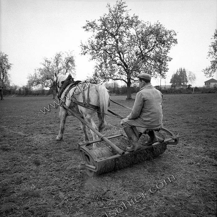 Le travail des champs