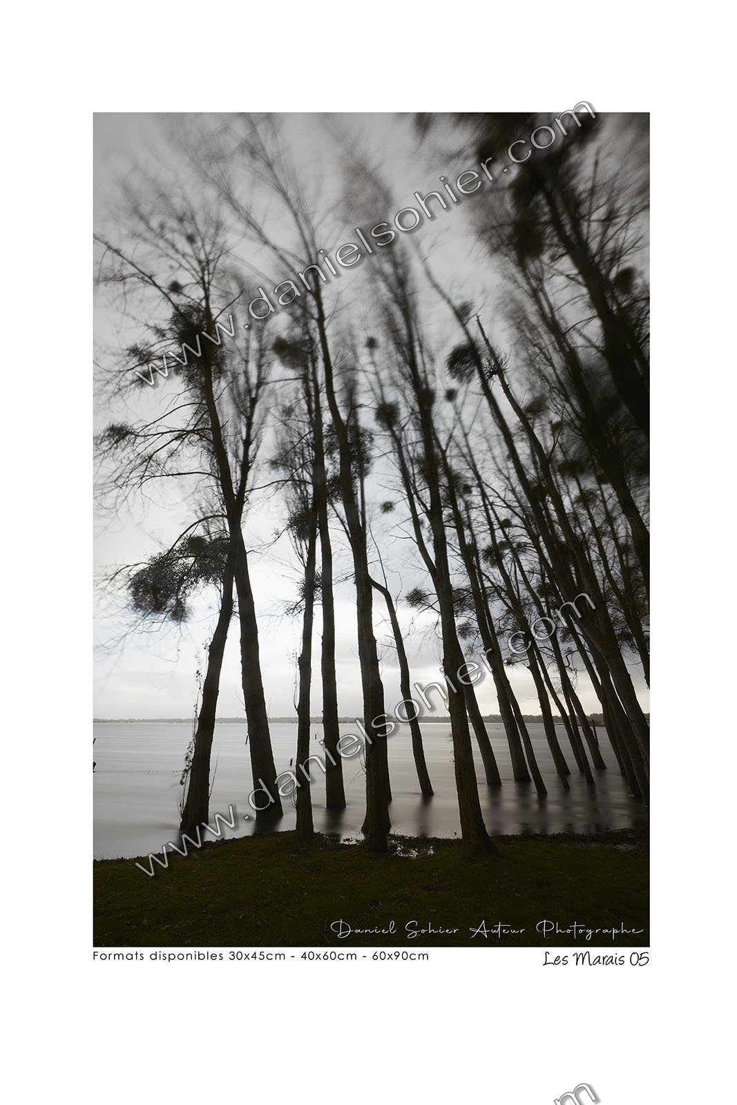 Photoggraphies de paysage