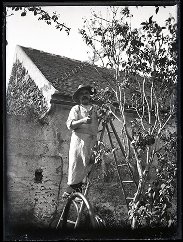 Plaques de verre 1910