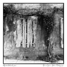 Création photographique noir et blanc argentique