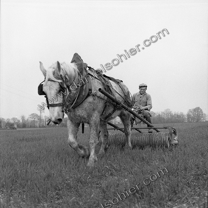 Le travail des champs