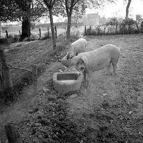 Reportage argentique