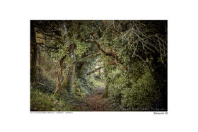 Photoggraphies de paysage