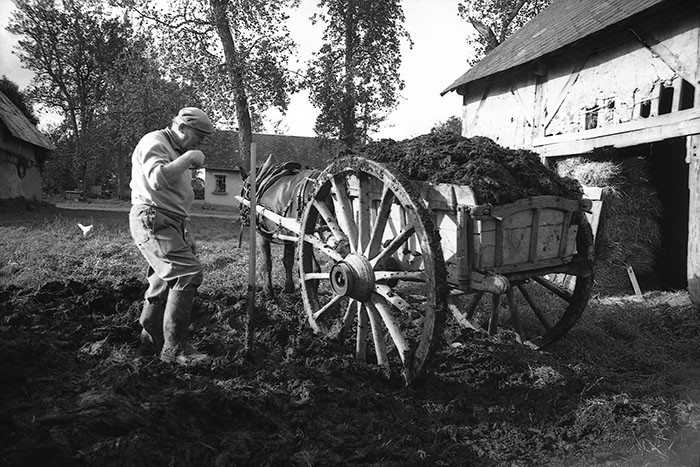 Le fumier dans l'Baniau