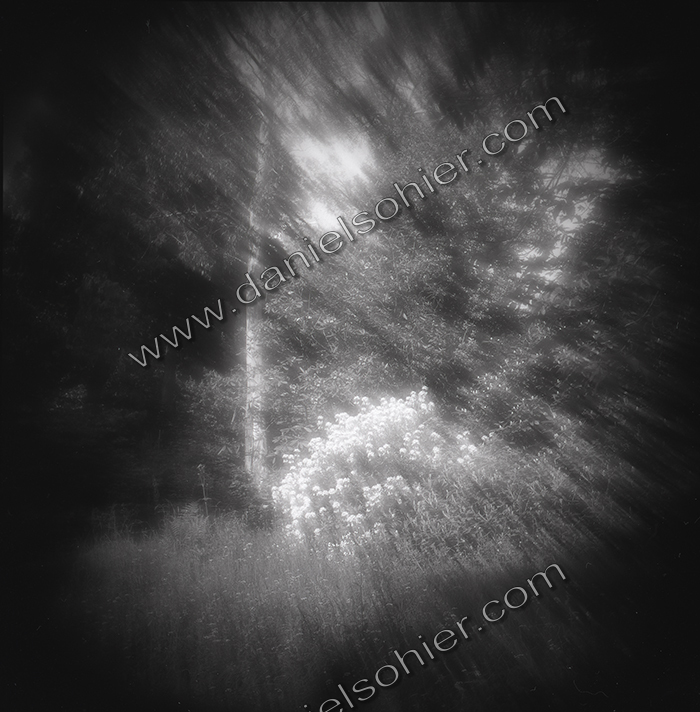 LE PARC - JARDIN FAVIER - Cherbourg en Cotentin - Manche - France 1986 - Hasselblad 6x6 argentique Photographie N° JF 09