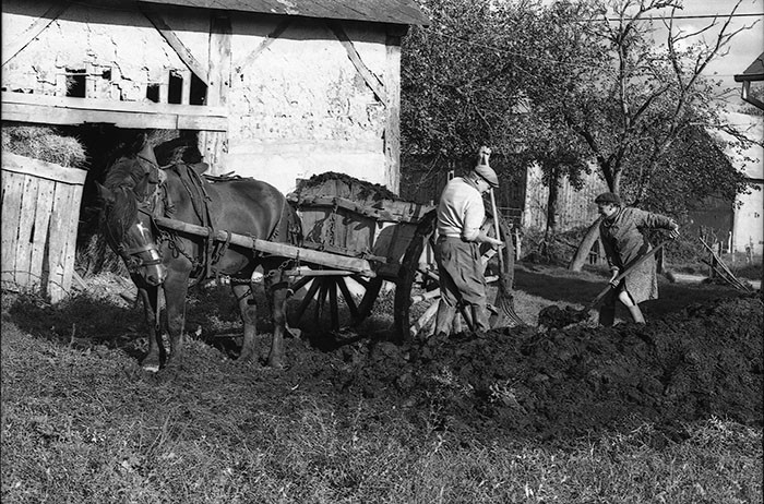 Le fumier dans l'Baniau