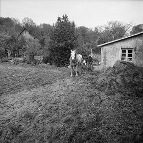 Le champ derrière la ferme