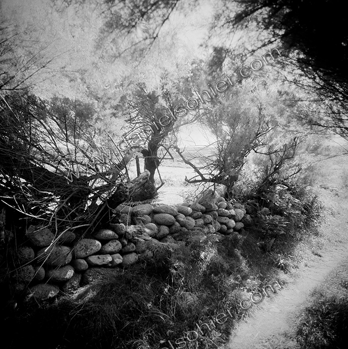 Création Noir&Blanc