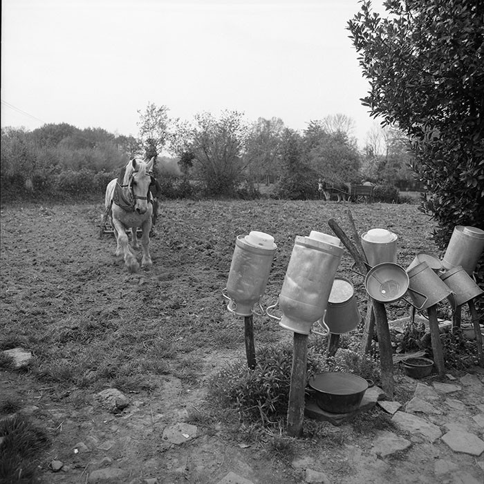 Le champ derrière la ferme