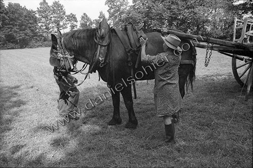 Reportage sur les foins
