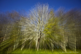 ICM Paysage