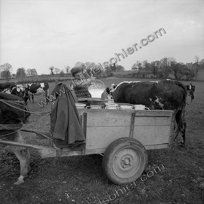 Traite dans les champs