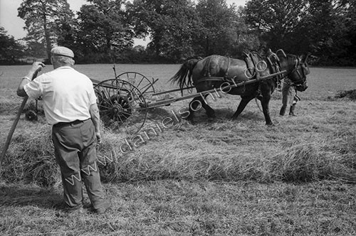 Reportage sur les foins