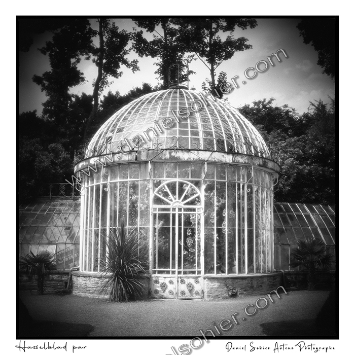 Création photographique noir et blanc argentique