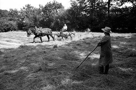 Reportage sur les foins