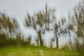 ICM Paysage
