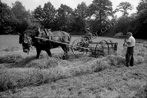Reportage sur les foins