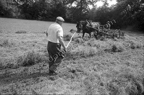 Reportage sur les foins