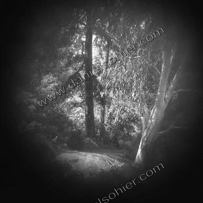 LE PARC - JARDIN FAVIER - Cherbourg en Cotentin - Manche - France 1986 - Hasselblad 6x6 argentique Photographie N° JF 16