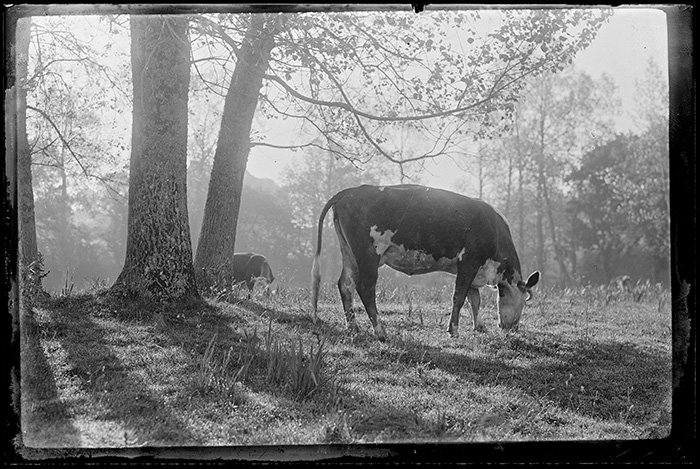 Photographie Gustave Bazire (1893-1941)