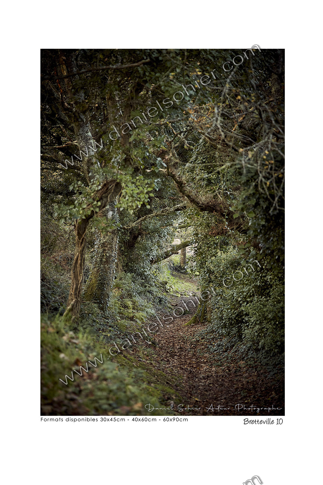 Photoggraphies de paysage