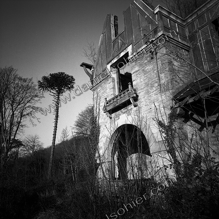 Création Noir&Blanc