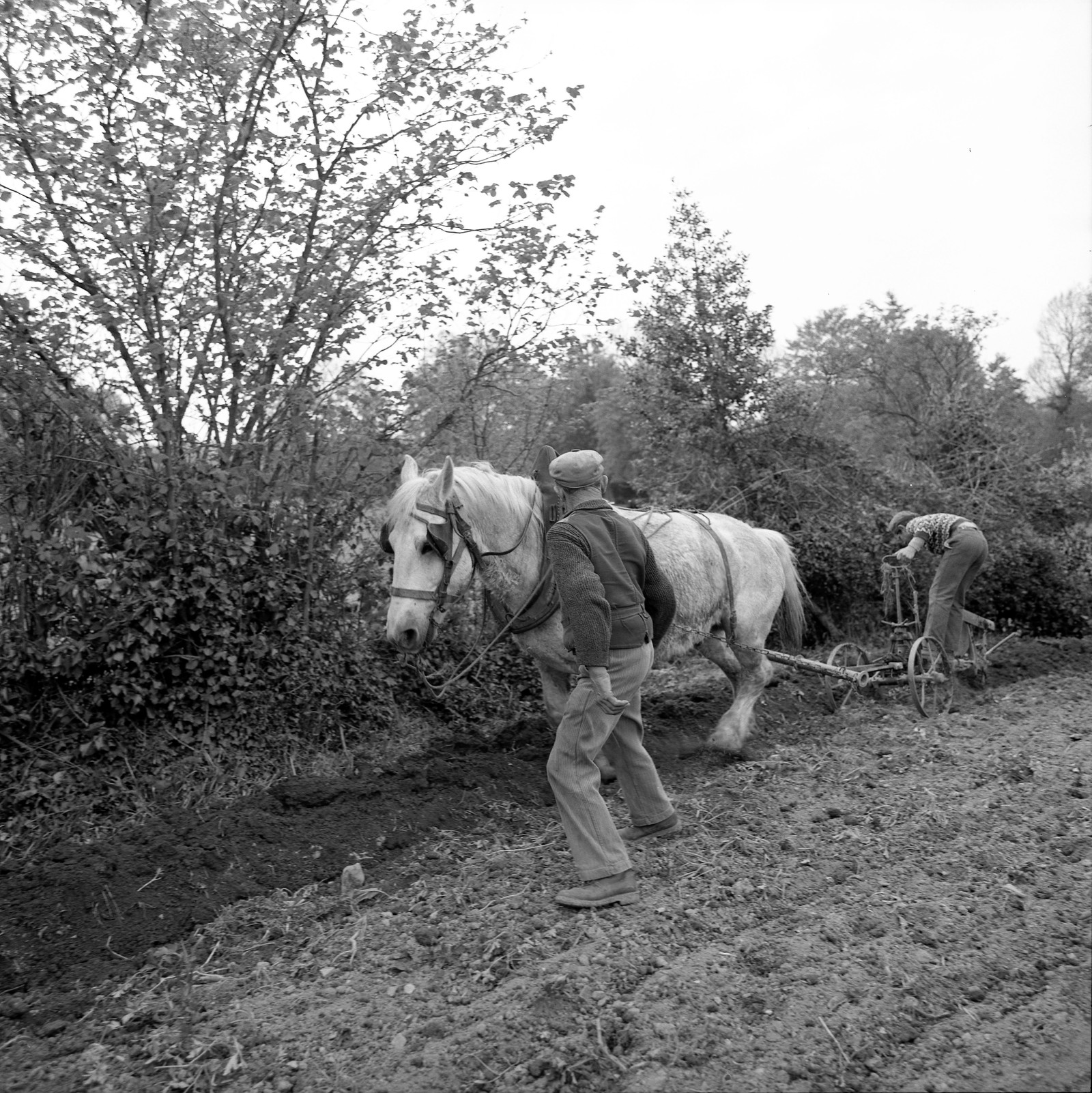 Le champ derrière la ferme