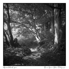 Création photographique noir et blanc argentique
