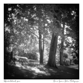 Création photographique noir et blanc argentique