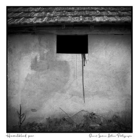 Création photographique noir et blanc argentique