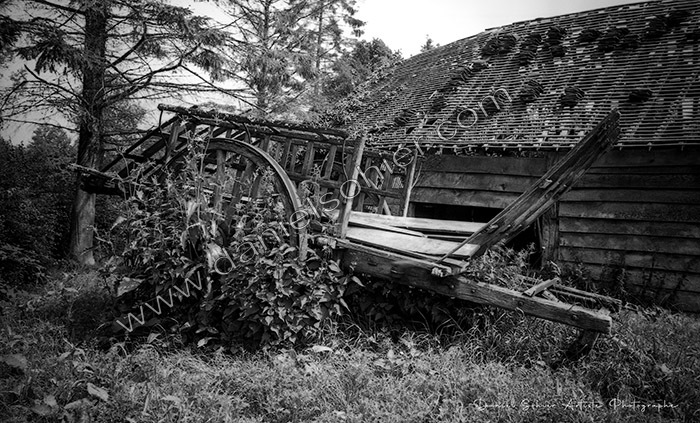 Création photographique noir et blanc argentique