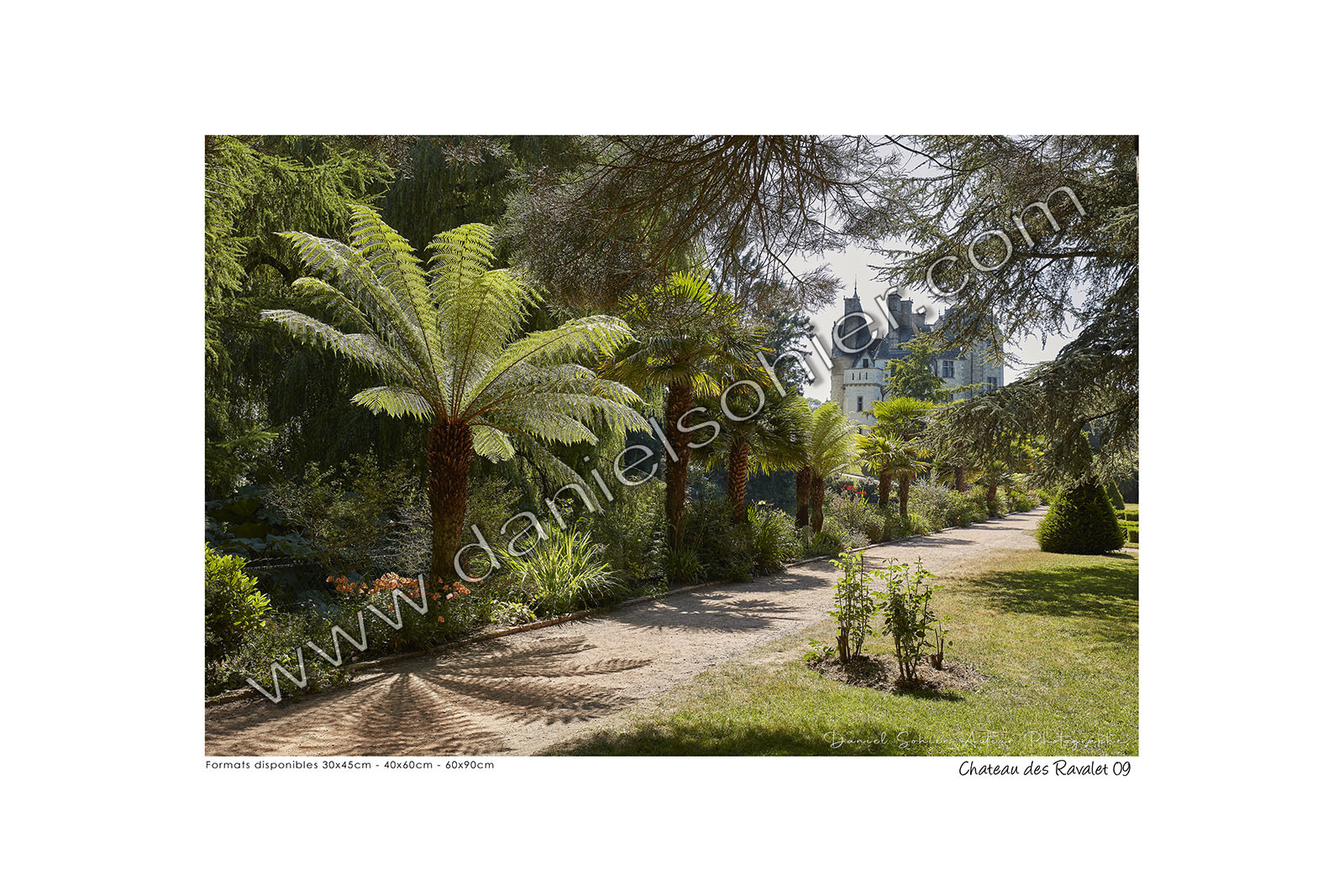 Photoggraphies de paysage