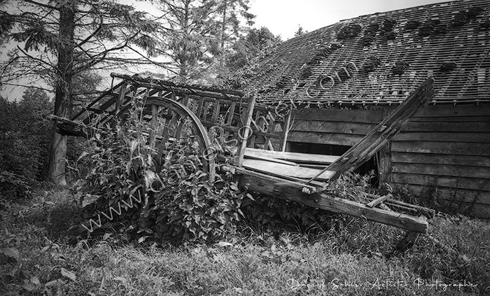 Création photographique noir et blanc argentique