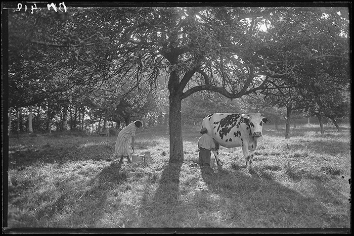Photographie Gustave Bazire (1893-1941)