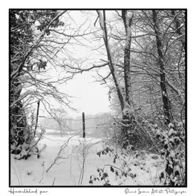 Création photographique noir et blanc argentique