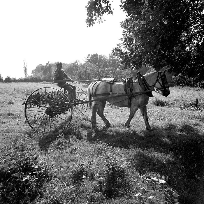 Le travail des champs