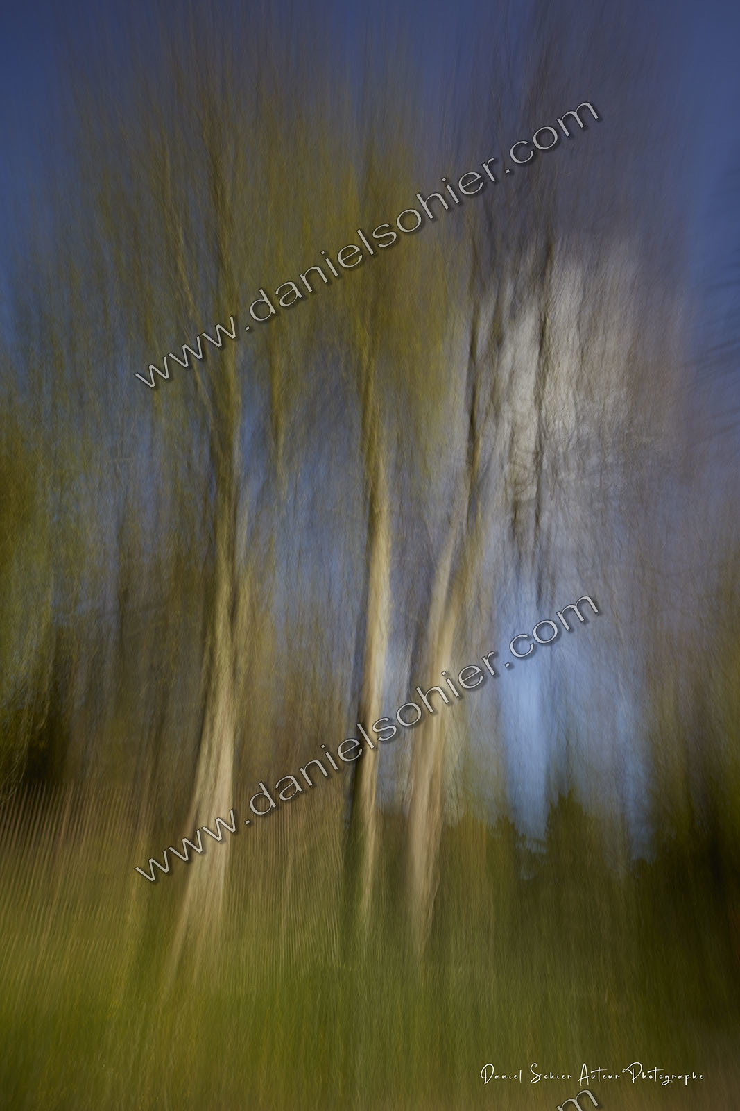 ICM Paysage